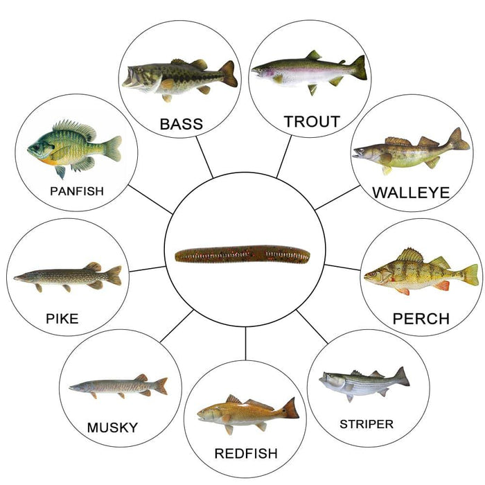 Dr.Fish 15pcs Ice Fishing Soft Worms 1.96'' - Dr.Fish Tackles
